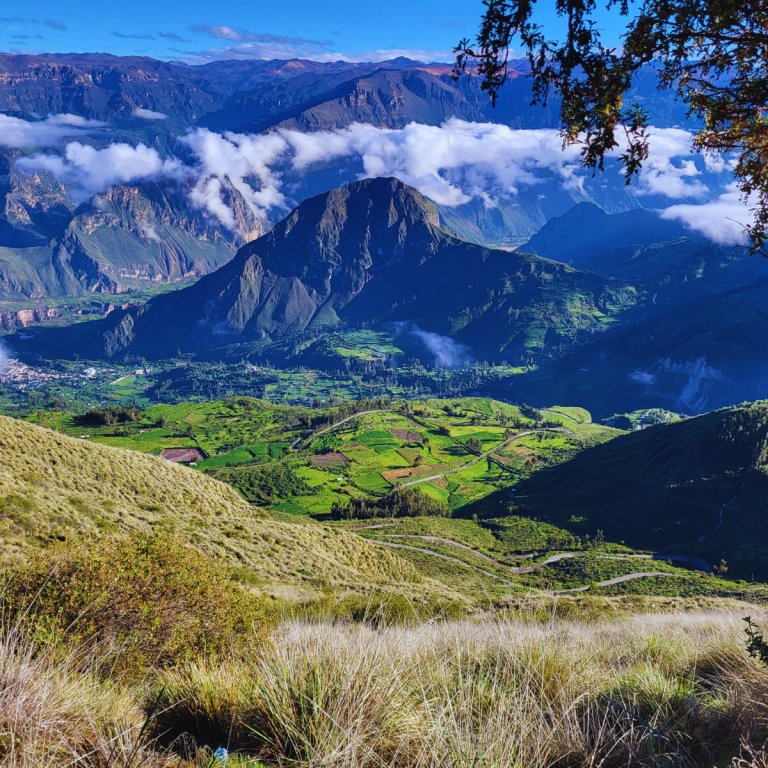 solar non profit volunteering