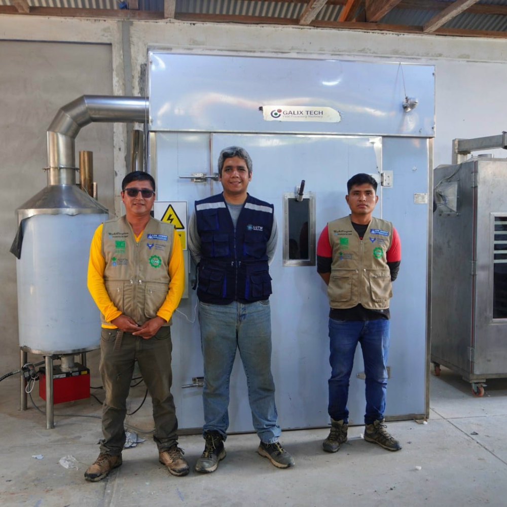 Solar energy supporting plantain production in rural Peru.